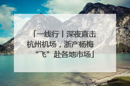 一线行丨深夜直击杭州机场，浙产杨梅“飞”赴各地市场
