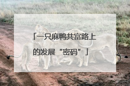 一只麻鸭共富路上的发展“密码”