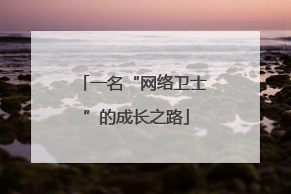 一名“网络卫士”的成长之路