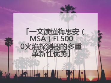 一文读懂梅思安（MSA）FL5000火焰探测器的多重革新性优势