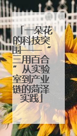一朵花的科技突围——“三用百合”从实验室到产业链的菏泽实践