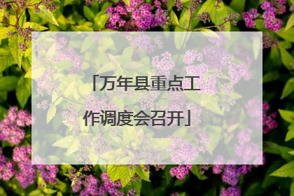 万年县重点工作调度会召开