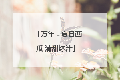 万年：夏日西瓜 清甜爆汁