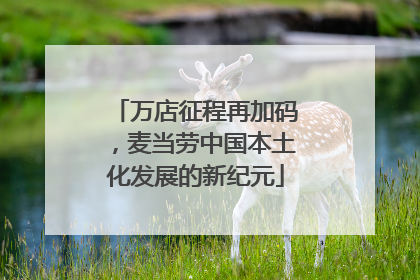 万店征程再加码，麦当劳中国本土化发展的新纪元