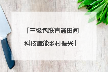 三级包联直通田间 科技赋能乡村振兴