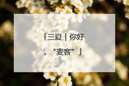 三夏｜你好，“麦客”