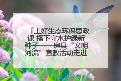 上好生态环保思政课 播下守水护绿新种子——房县“文明河流”宣教活动走进八一希望小学