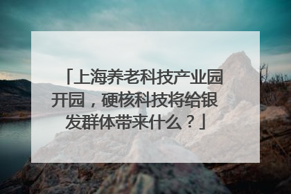 上海养老科技产业园开园，硬核科技将给银发群体带来什么？