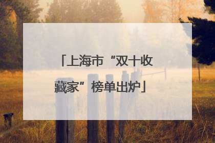 上海市“双十收藏家”榜单出炉