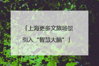 上海更多文旅场景引入“智慧大脑”