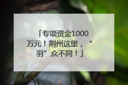 专项资金1000万元！荆州这里，“羽”众不同！