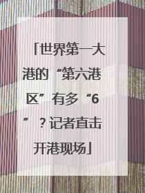 世界第一大港的“第六港区”有多“6”？记者直击开港现场