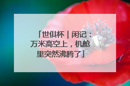 世俱杯｜闲记：万米高空上，机舱里突然沸腾了