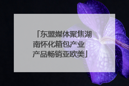 东盟媒体聚焦湖南怀化箱包产业 产品畅销亚欧美