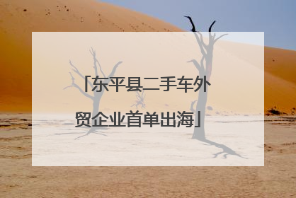 东平县二手车外贸企业首单出海