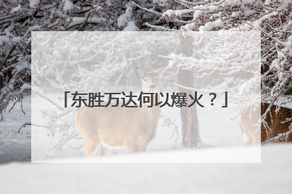 东胜万达何以爆火？