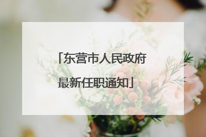 东营市人民政府最新任职通知