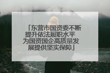 东营市国资委不断提升依法履职水平 为国资国企高质量发展提供坚实保障