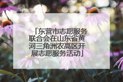东营市志愿服务联合会在山东省黄河三角洲农高区开展志愿服务活动