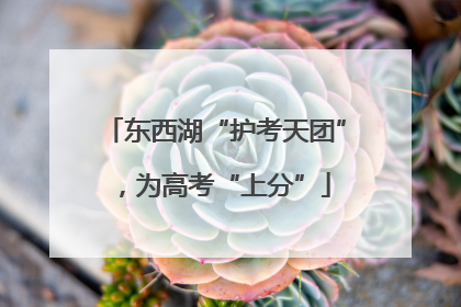 东西湖“护考天团”，为高考“上分”