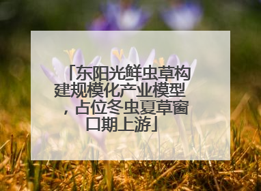东阳光鲜虫草构建规模化产业模型，占位冬虫夏草窗口期上游