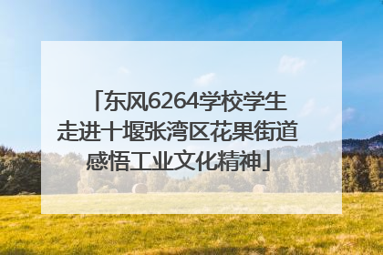 东风6264学校学生走进十堰张湾区花果街道感悟工业文化精神