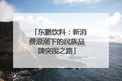 东鹏饮料：新消费浪潮下的民族品牌突围之路