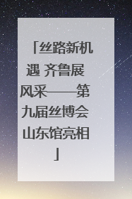 丝路新机遇 齐鲁展风采——第九届丝博会山东馆亮相