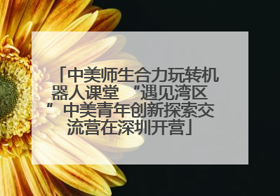 中美师生合力玩转机器人课堂 “遇见湾区”中美青年创新探索交流营在深圳开营