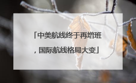 中美航线终于再增班，国际航线格局大变