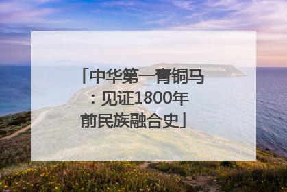 中华第一青铜马：见证1800年前民族融合史