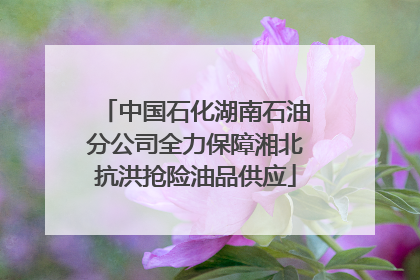 中国石化湖南石油分公司全力保障湘北抗洪抢险油品供应