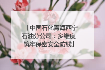 中国石化青海西宁石油分公司：多维度筑牢保密安全防线