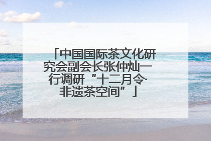 中国国际茶文化研究会副会长张仲灿一行调研“十二月令·非遗茶空间”