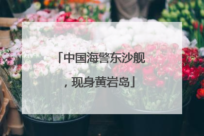 中国海警东沙舰，现身黄岩岛