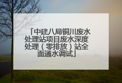 中建八局铜川废水处理站项目废水深度处理（零排放）站全面通水调试