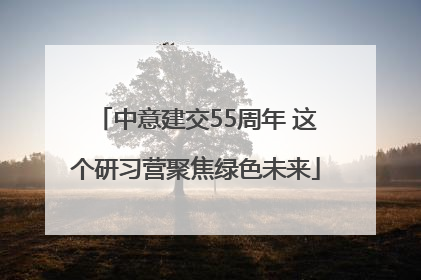 中意建交55周年 这个研习营聚焦绿色未来