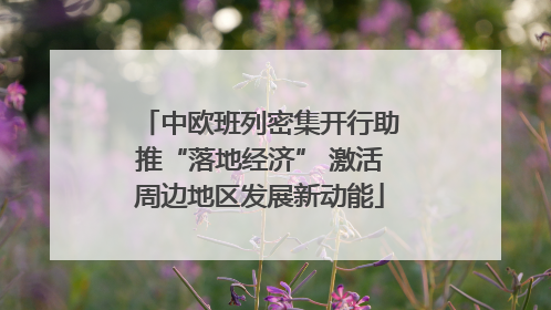 中欧班列密集开行助推“落地经济” 激活周边地区发展新动能