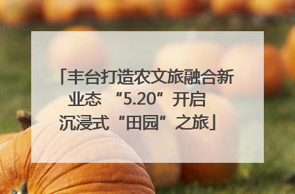 丰台打造农文旅融合新业态 “5.20”开启沉浸式“田园”之旅