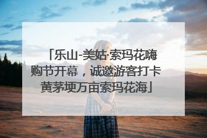 乐山-美姑·索玛花嗨购节开幕，诚邀游客打卡黄茅埂万亩索玛花海