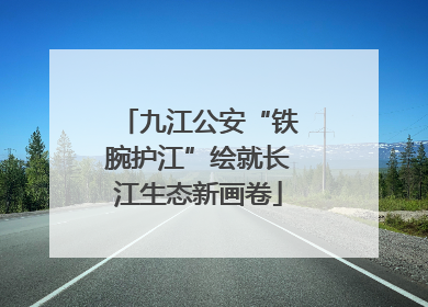 九江公安“铁腕护江”绘就长江生态新画卷
