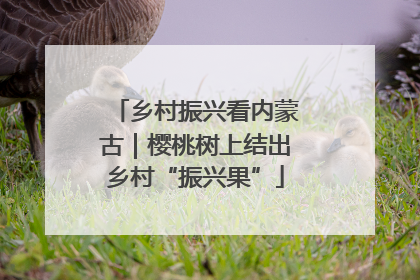 乡村振兴看内蒙古｜樱桃树上结出乡村“振兴果”