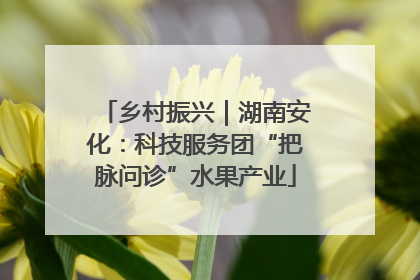 乡村振兴｜湖南安化：科技服务团“把脉问诊”水果产业