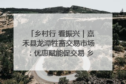 乡村行 看振兴｜嘉禾县龙潭牲畜交易市场：优惠赋能促交易 乡村振兴添动能