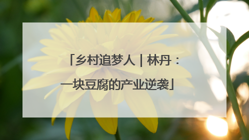 乡村追梦人｜林丹：一块豆腐的产业逆袭