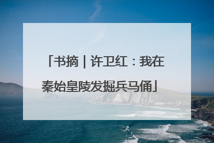 书摘｜许卫红：我在秦始皇陵发掘兵马俑