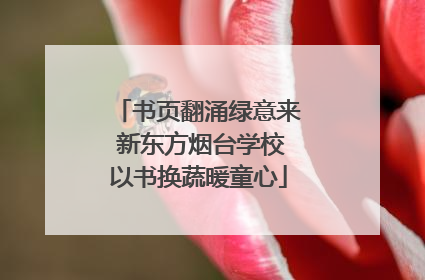 书页翻涌绿意来 新东方烟台学校以书换蔬暖童心