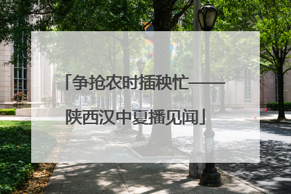 争抢农时插秧忙——陕西汉中夏播见闻
