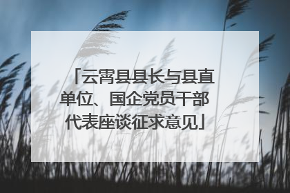 云霄县县长与县直单位、国企党员干部代表座谈征求意见