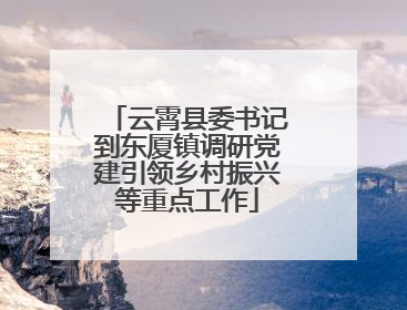 云霄县委书记到东厦镇调研党建引领乡村振兴等重点工作